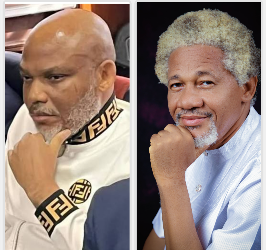 collage 1771867565190